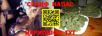спайс Моздок