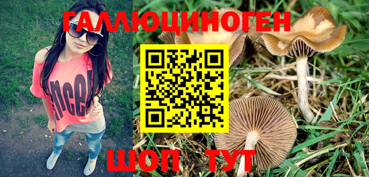 Владивосток  Галлюциногенные грибы мицелий  Галлюциногенные грибы мицелий  Вход с VPN 